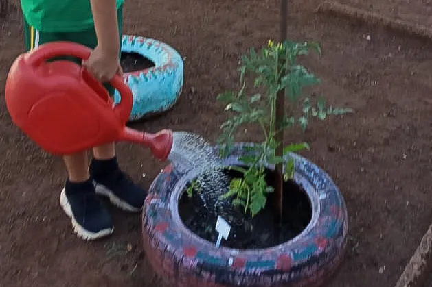 Pneus reciclados ganham nova função e ajudam a cultivar horta escolar em unidade da rede municipal
