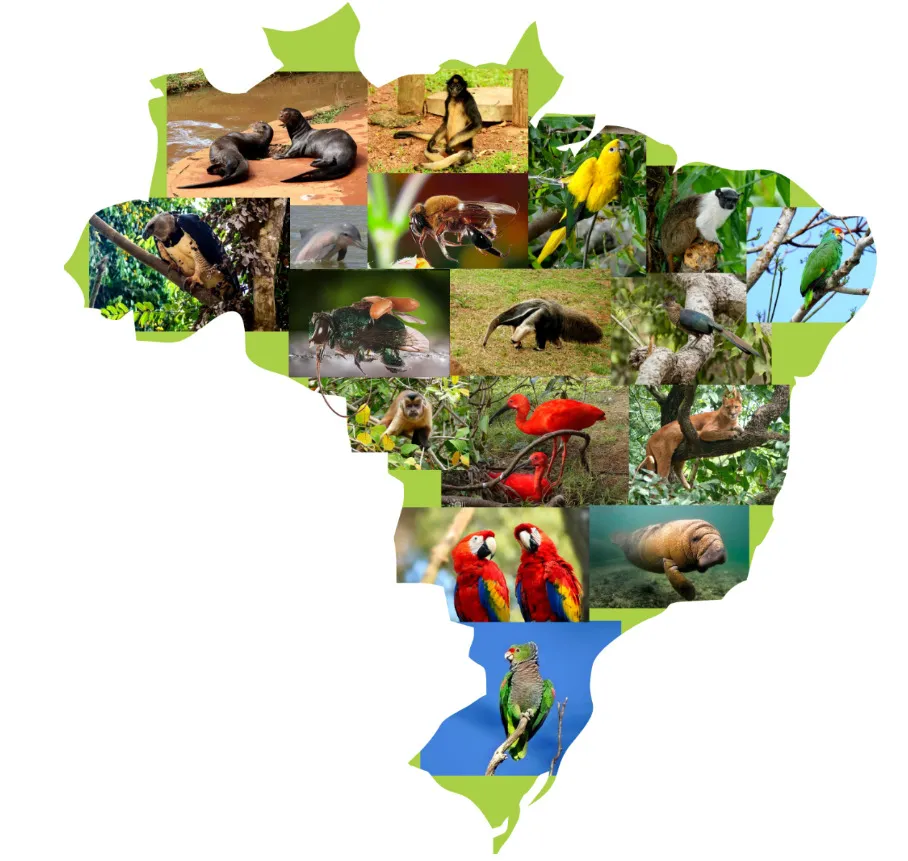 Amazônia em foco: Cuiabá recebe eventos científicos internacionais em 2025