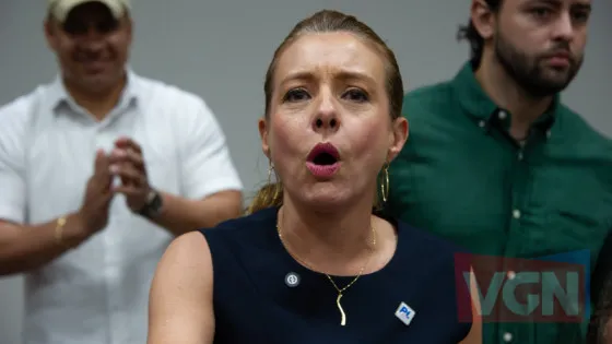 Após ser eleita, Flávia Moretti anula multa ambiental de R$ 600 mil de empresa Moretti atuou como advogada da empresa PB Brasil Indústria e Comércio de Gelatinas Ltda